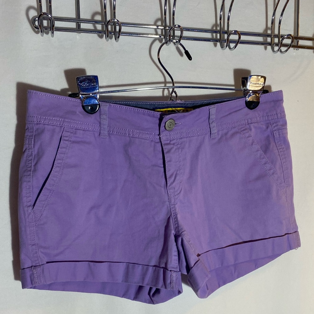 Prince & Fox Purple Women's Shorts, Size 6
